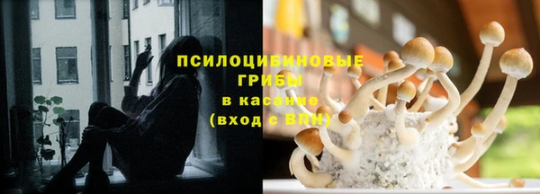 ECSTASY Дмитровск
