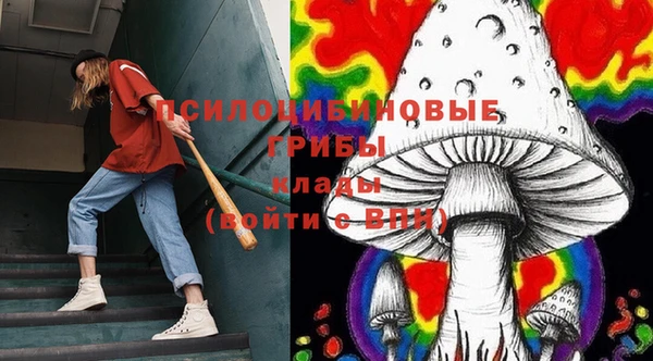 ECSTASY Дмитровск