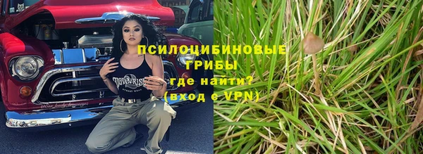 мет Дмитров