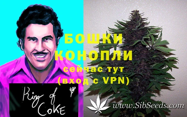 ECSTASY Дмитровск