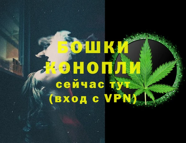 мет Дмитров