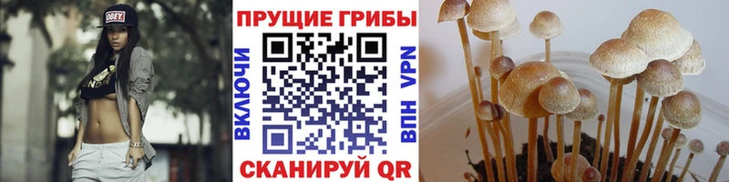 Псилоцибиновые грибы мухоморы  Купить где  Суоярви 